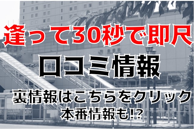 豊橋の裏風俗 たちんぼやちょんの間とヌキ屋