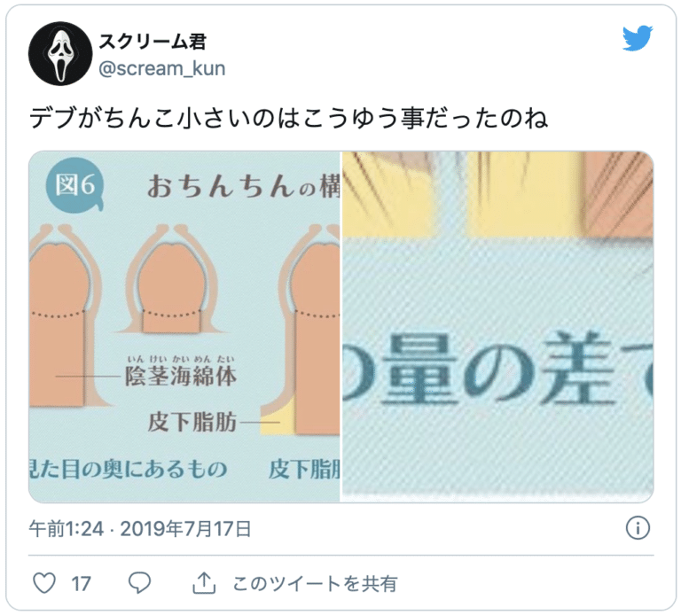 デブのちんこが小さい理由とは？デブでもちんこを大きくする方法を解説 - メンズラボ