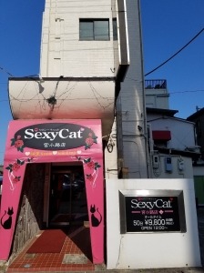 トップページ | 『sexy cat 宮小路店』のオフィシャルサイト