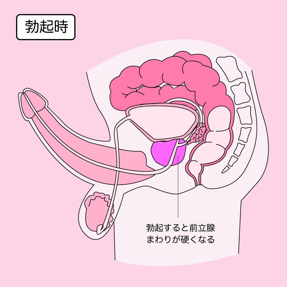 アナル開発を徹底解説！「後ろの穴」で得られる新たな快感！｜エステの達人マガジン