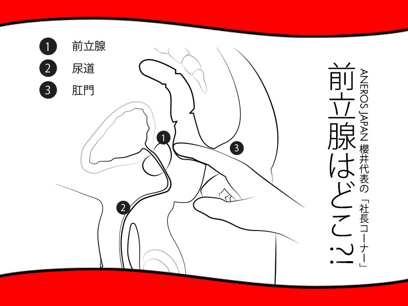 快感！前立腺オナニーとは | 前立腺オナニーのログ