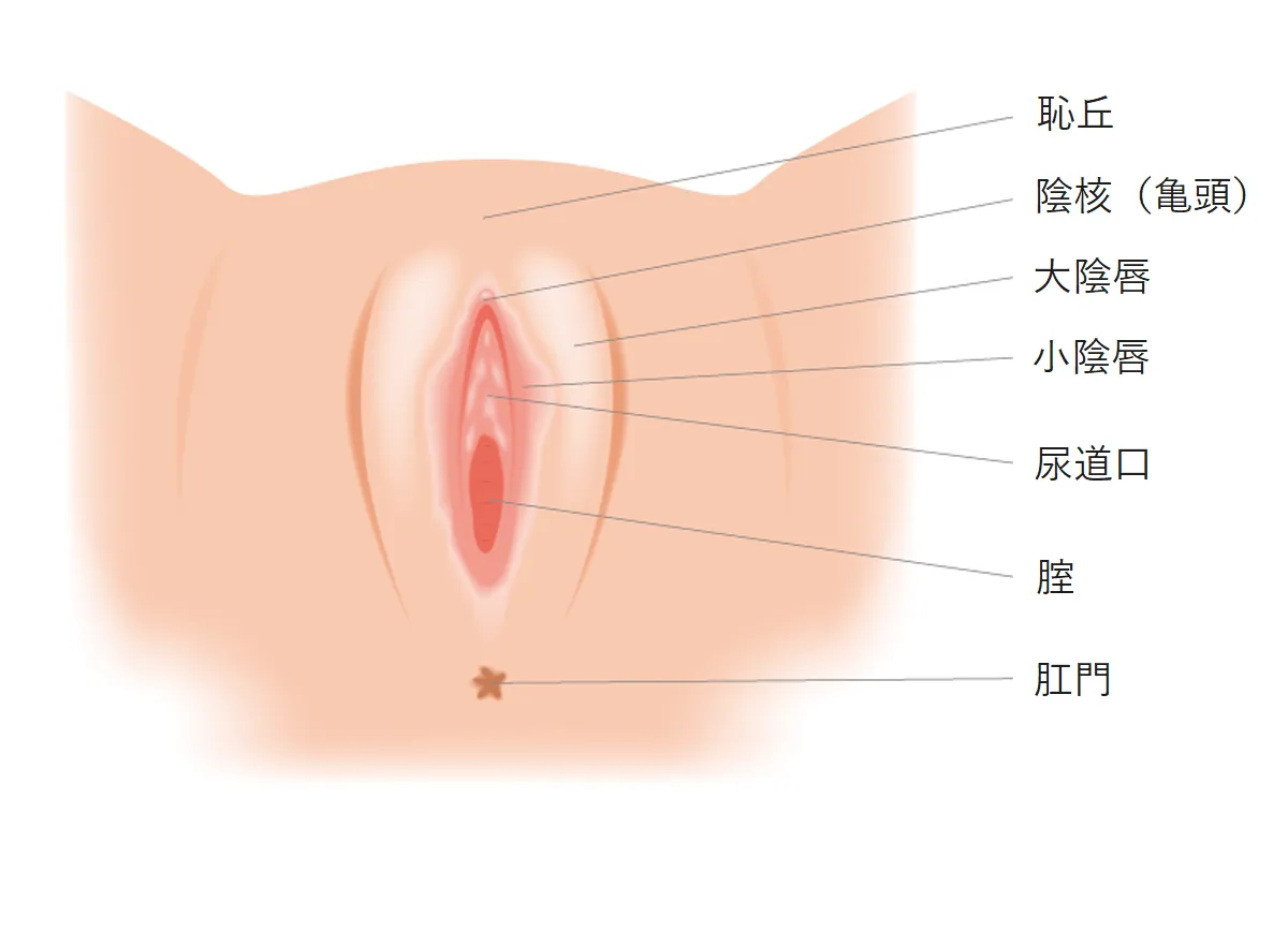 正常位でのセックスのやり方を画像で解説 | 種類はいくつ知ってる？ ｜ iro