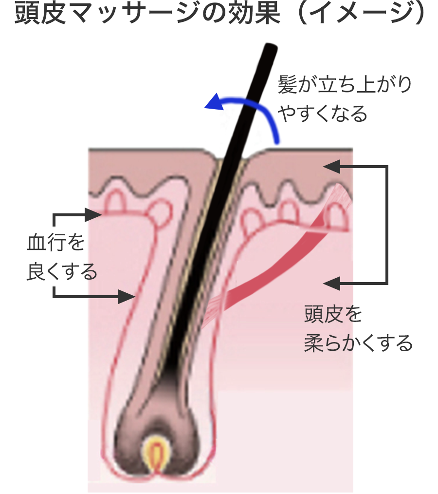 日本人は常に睡眠不足！？【ｍｙｕ式】ヘッドマッサージスクール