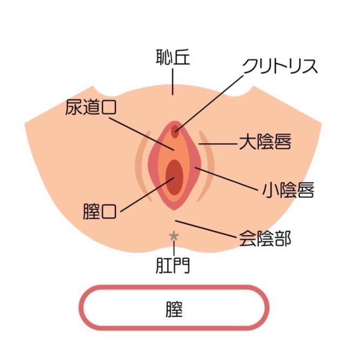 クリトリス包茎｜ユリシスクリニック 浜松市