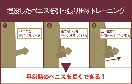 自力チントレでチンコをデカくする方法７選【完全図解版】 | イケオジの嗜み