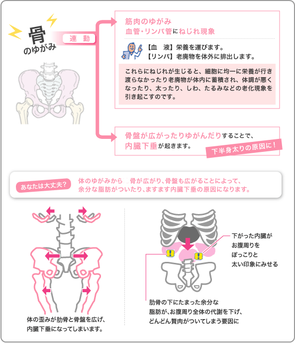 森林セラピー® | 長野県のコテージ「 なべくら高原・森の家」 |