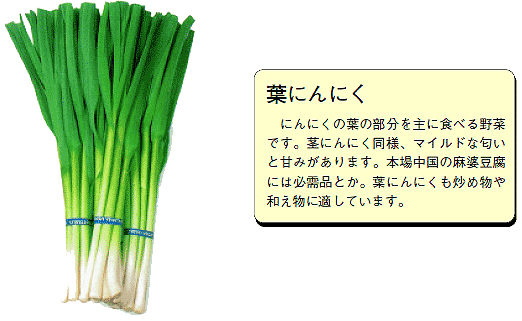 にんにくは精力増強効果バツグン！成分・効果・効能を解説 | ザヘルプM