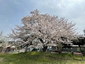 部門紹介(売店のご紹介) - 医療法人光風会