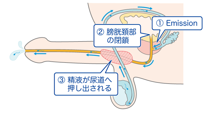 【オナニー動画】2度目の射精の方が精子が飛ぶのか？？実験してみた結果がこちら！！　ザーメン　オナニー　個人撮影　潮吹き　ぶっかけ　精液