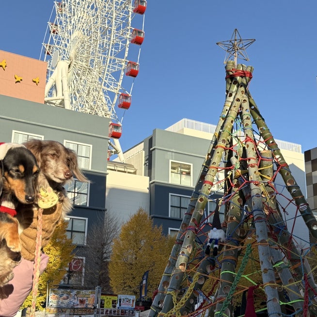 千和 | JR王子駅中央口のメンズエステ 【リフナビ® 東京、関東】