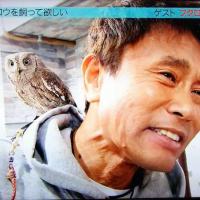 あうるぱーく フクロウカフェ池袋（ペットサロン・トリミング）｜東京都豊島区｜EPARKペットライフ