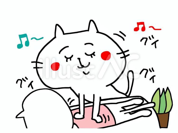 エステのフルコース！？お姫様扱いされる猫ちゃん。 | ねこのこと。～猫がもっと好きになる動画紹介サイト～