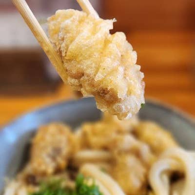 堺（堺東）/ 堺うどん ちはや