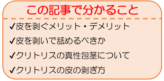 クリトリス、副皮の治療｜ルクスクリニック | 新宿にある美容外科、美容皮膚科、婦人科形成