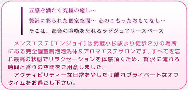 武蔵小杉 メンズエステ【桜恋-サクラコイ-】 | JR南武線 武蔵小杉駅のメンズエステ