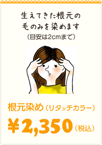 アリオ亀有2階の医薬品・化粧品売場が11/15（金）リニューアルオープン予定 | 葛飾つうしん – 東京都葛飾区のローカルサイト