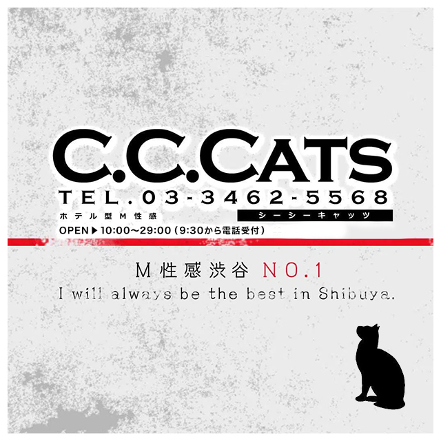 Amazon.co.jp: CCCats 白猫 バレンタイン ホワイトデー