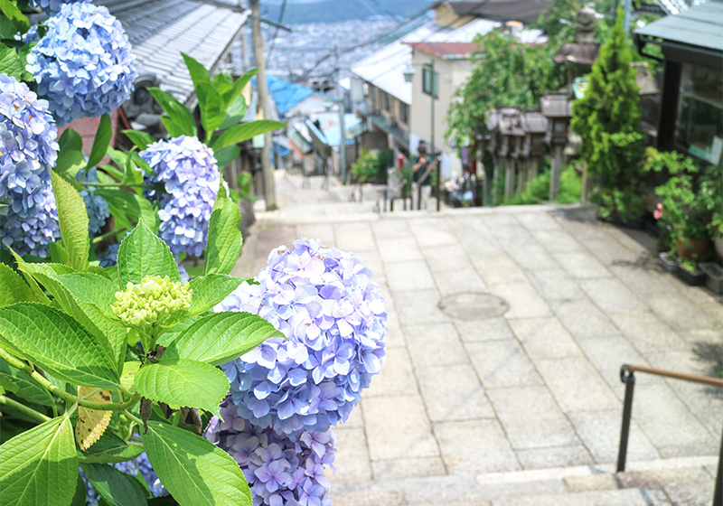 西奈良】奈良盆地を生駒山から一望 宝山寺新地のノスタルジックな風情 | 森見登美彦さんと歩く西奈良ラビリンス |