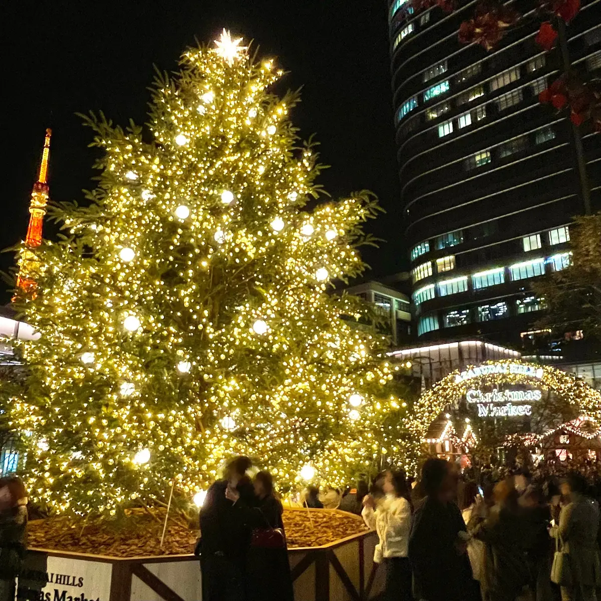 ホームズ】ローズヒルズ1(木津川市)の賃貸情報