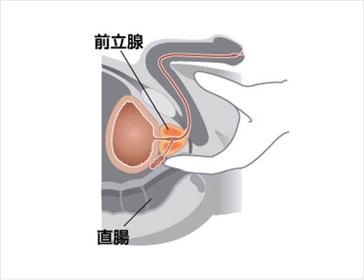 緊急!! 医療現場で懸念されている床オナとは？ –