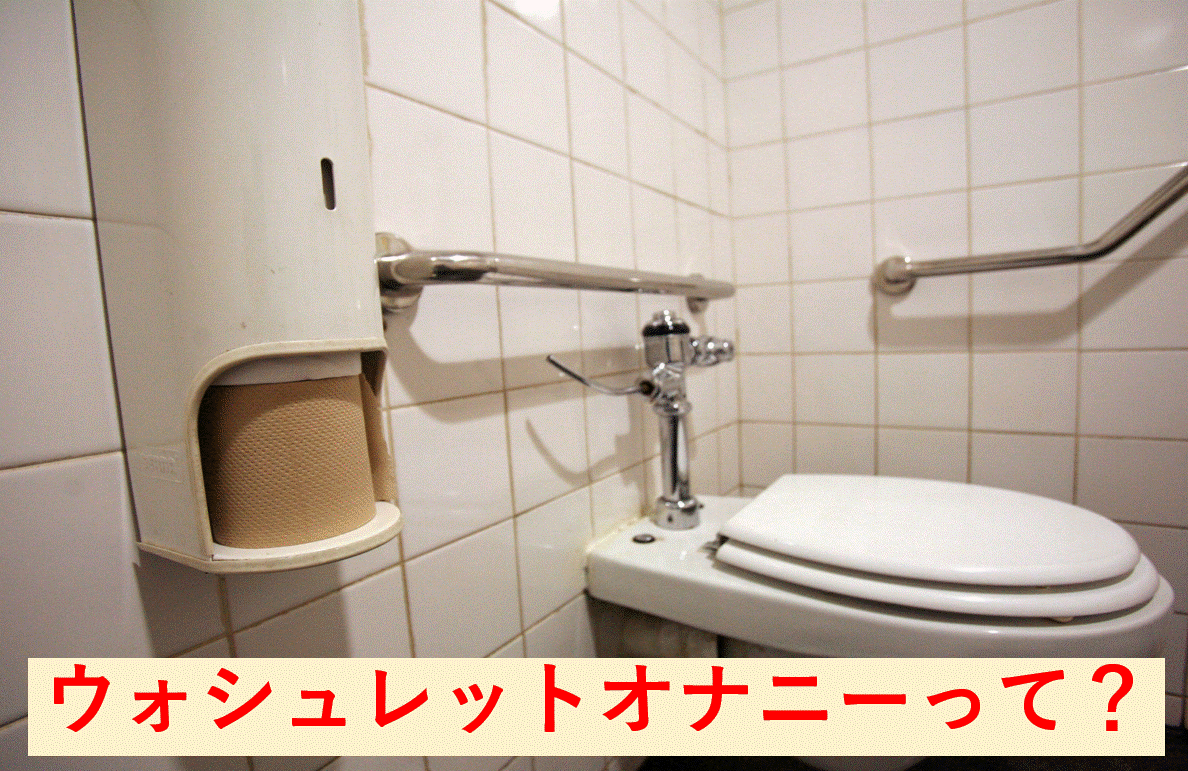 ウォシュレット媚薬でガンギマリのメスビッチがトイレオナニー！ | オナ萌ゆ