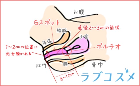 女性を喜ばせる手マンの正しい仕方とは？ - ぴゅあじょDiary