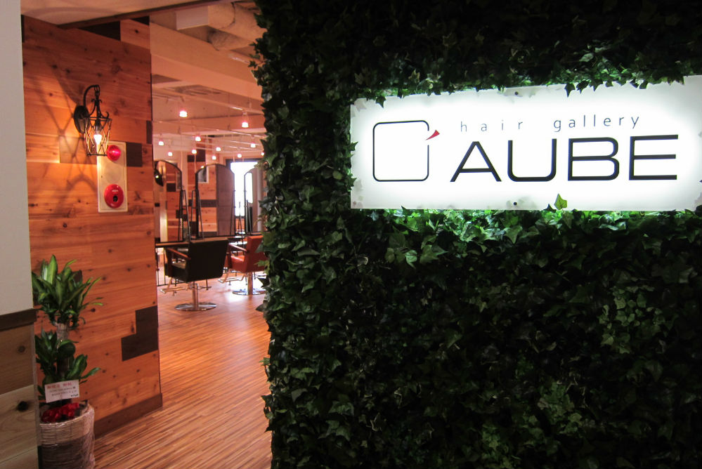 AUBE HAIR terre |