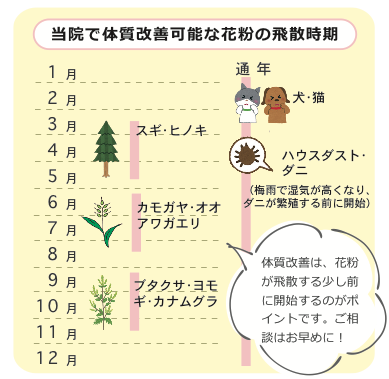 秋の花粉にご注意！季節の変わり目を上手に過ごすポイント | 仙台アトピー相談室 |