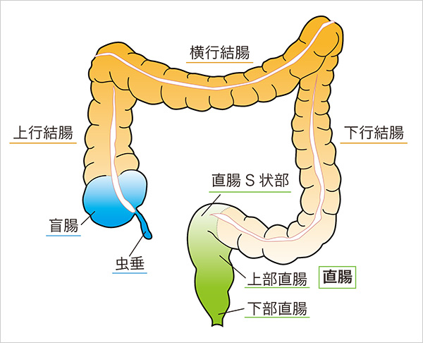 アナル子宮イキとは！アナニー男子が目指すべき究極の快感を徹底解説