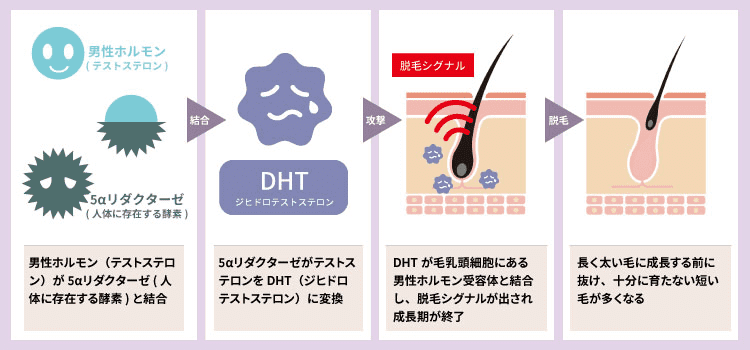 Dクリニックメンズヘルス【公式】-ED・男性更年期治療・男性の健康専門外来