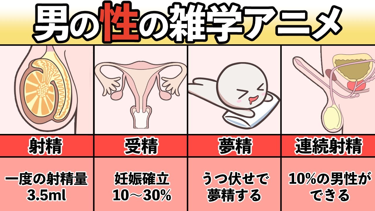 女医が解説！夢精ってなんで起こるの？？【エッチな夢で射精？】 ｜ TAクリニックグループ｜美容整形・美容外科｜全国展開中｜