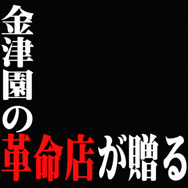 岐阜周辺・金津園のソープ嬢｜シティヘブンネット（9ページ目）