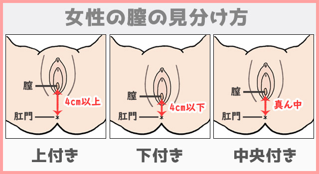 女性器の上付き・下付きの違いやチェック方法は？ それぞれの気持ちいい体位って？ ｜