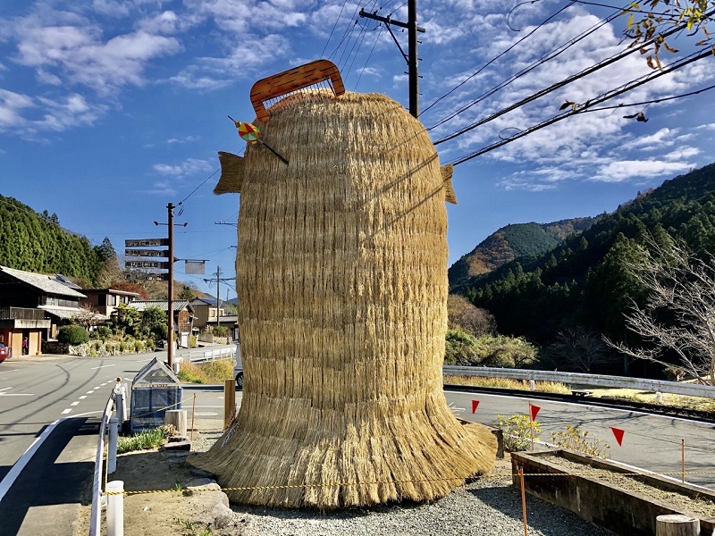 松江市に観葉植物のお店『LUBOA（ルボア）』誕生。ギフト選びにも◎｜日刊Lazuda(ラズダ) - 