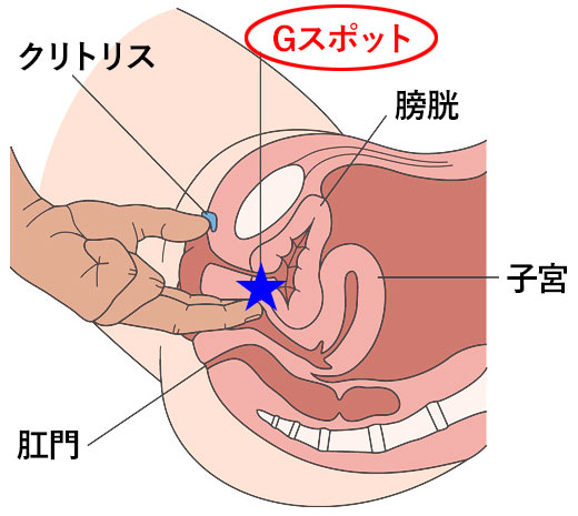 中イキと私の5日間 ～あいさんの場合～ 未体験ユーザーの手書き日記を公開！ ｜