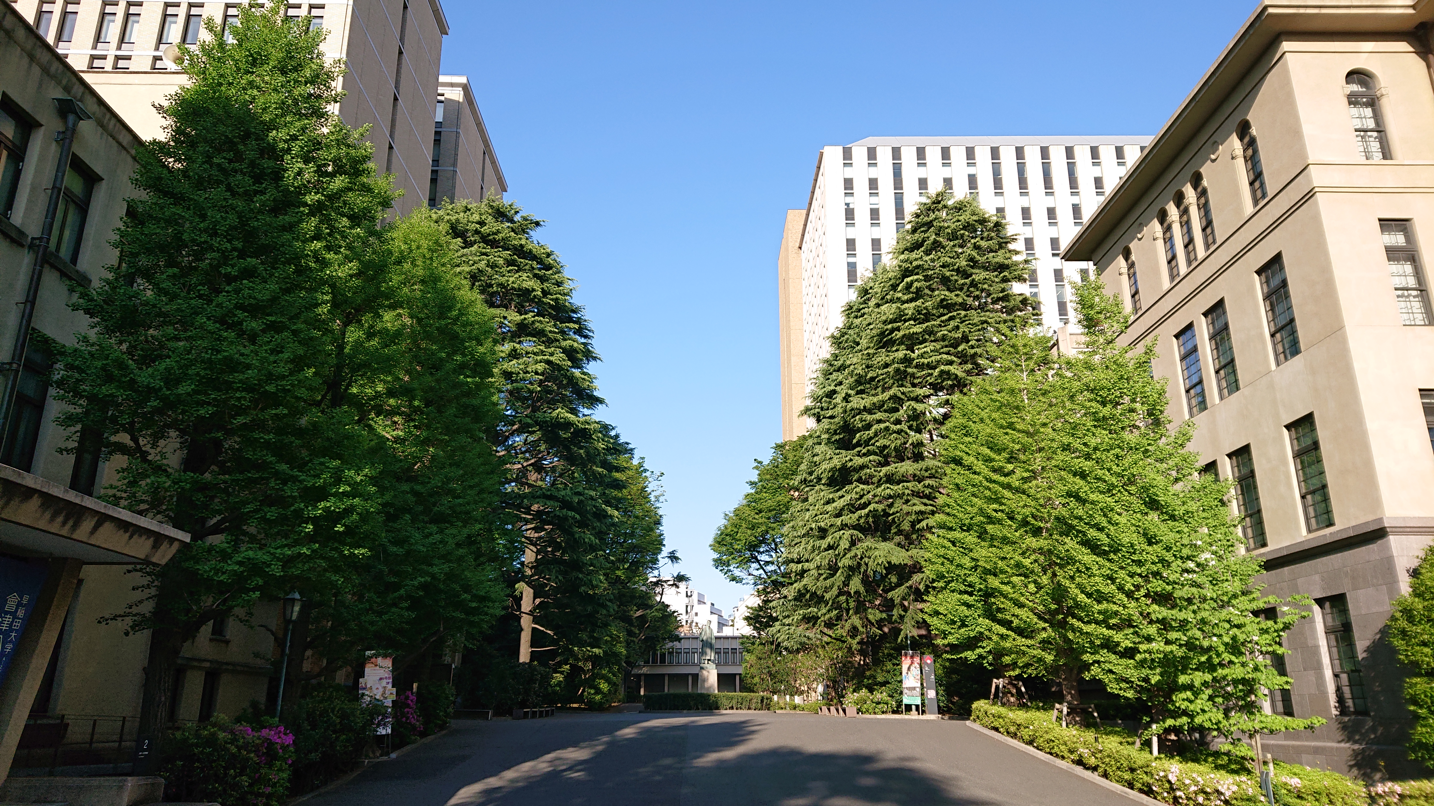 早稲田大学社会科学部メンターチーム (SSS Student Mentors)