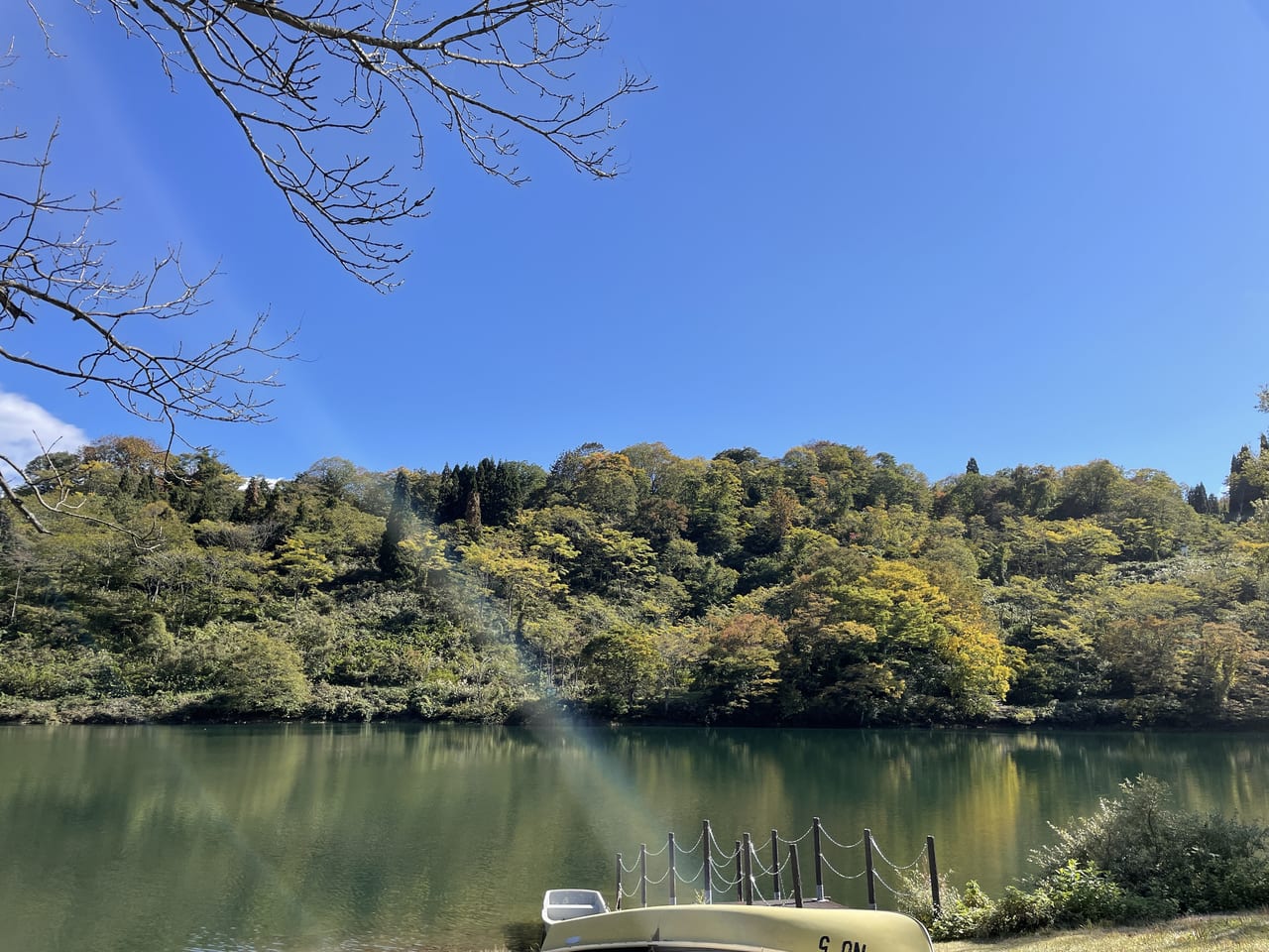 世界的な造園家に聞く、都市の「癒しの空間」とは？ 神戸の街に、癒しの空間を。夏の異常高温に備える木陰をつくりたい（神戸市建設局公園部  2024/05/16