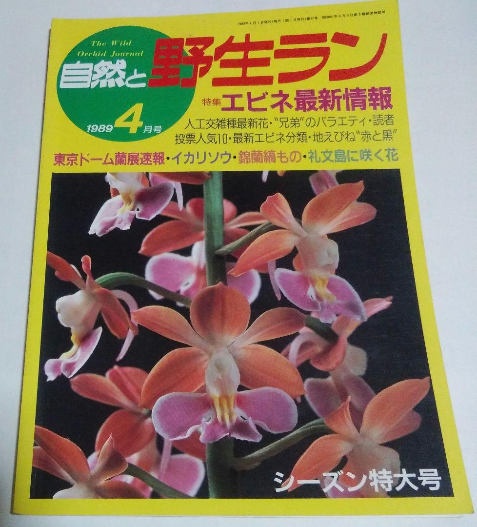 中古】えびね誌上展総鑑／愛楽園の通販 by 不死鳥BOOKS｜ラクマ