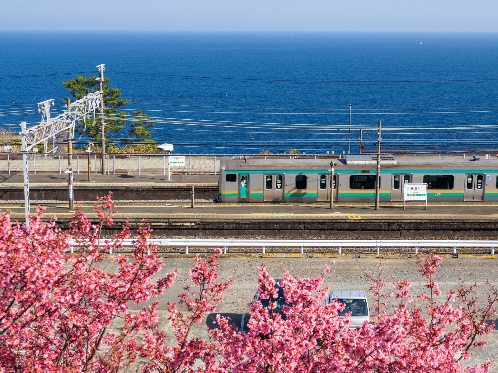 潮騒の駅根府川・江之浦漁港コースは車に注意: 放浪力３