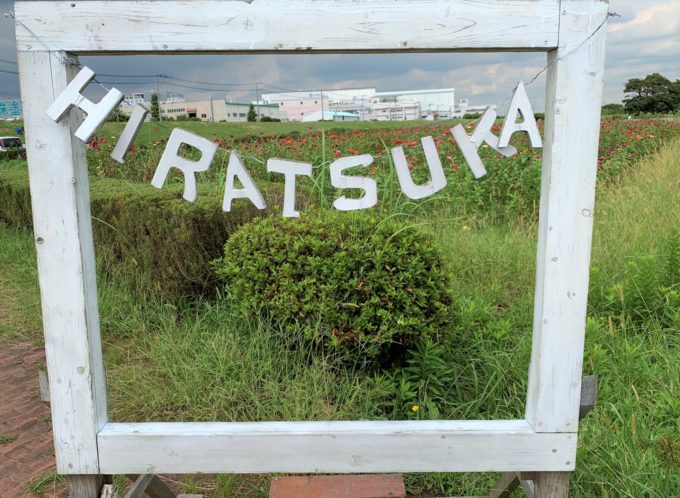 イシックス馬入のお花畑 | 観光スポット | 湘南ひらつかナビ|平塚市観光協会