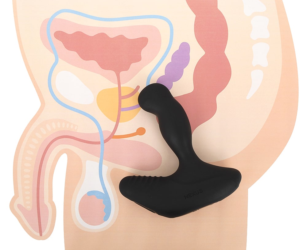 初心者向けアナル開発のススメ！失神するほど気持ちいい前立腺にあなたは興味ありますか？