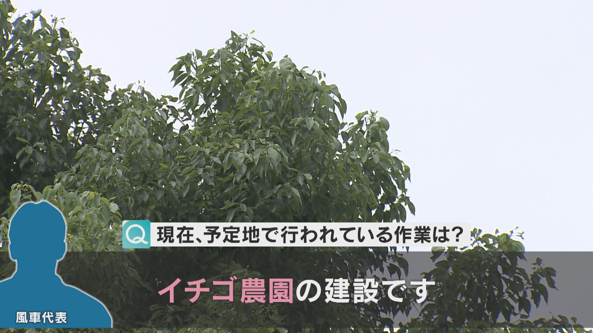 公式】ECC学園高等学校〔通信制〕 | 【縁日】 エンジョイ・デイで縁日をしました⛱ かき氷🍧にクレープ🍰にあひるちゃん🦢