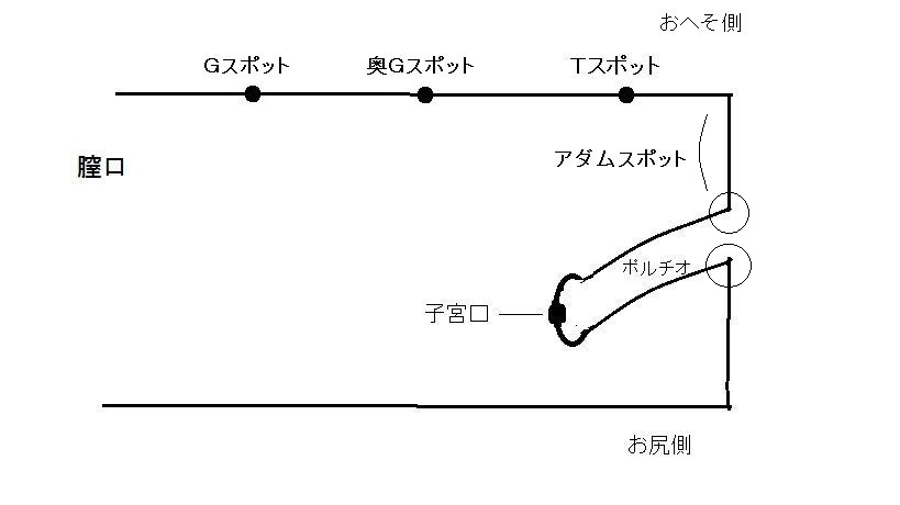 ポルチオとは？ 刺激で中イキするって本当？ 医師が教える正しい知識｜「マイナビウーマン」