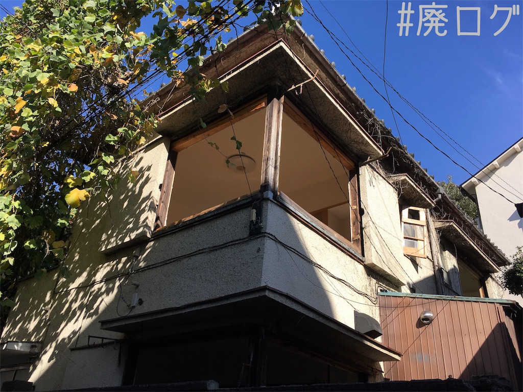 カーテン・フィグ・ツリー | 東京都荒川区（日暮里）の花屋・園芸店