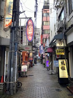 神戸市東灘区】山手幹線沿い！本山街園（バラ園）今年も綺麗に花が咲いていました！今週いっぱいが見ごろです！ | 号外NET