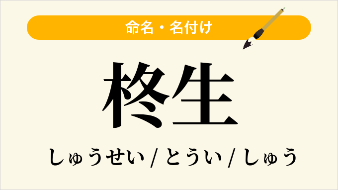 柊生」という名前の読み方・いいね数・漢字の意味（命名・名付け）