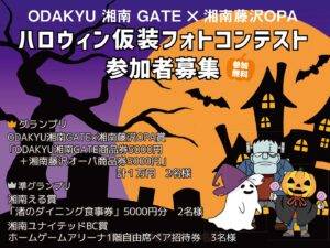 樋口尚文＝『大島渚全映画秘蔵資料集成』神保町「猫の本棚」 on X: 