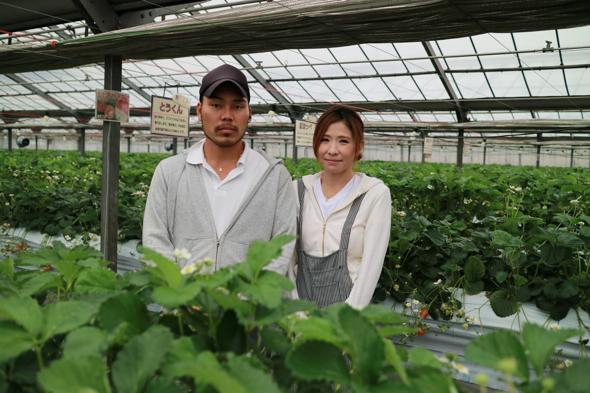 神奈川】春のおでかけに！「吉原いちご園」でいちご狩りしてきた