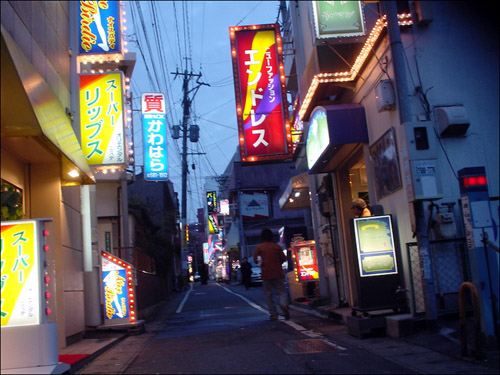 2ページ目)栃木：平成の時代にはたくさんあった本サロ ～ニッポンの裏風俗～ - メンズサイゾー