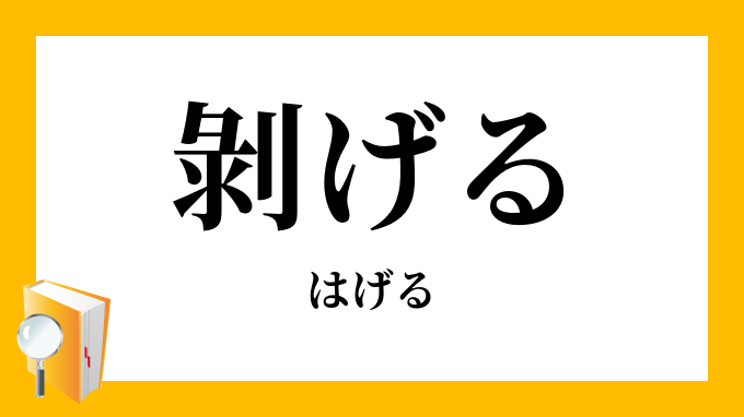 三報社印刷社員の勉強部屋 - 「IVS」とは